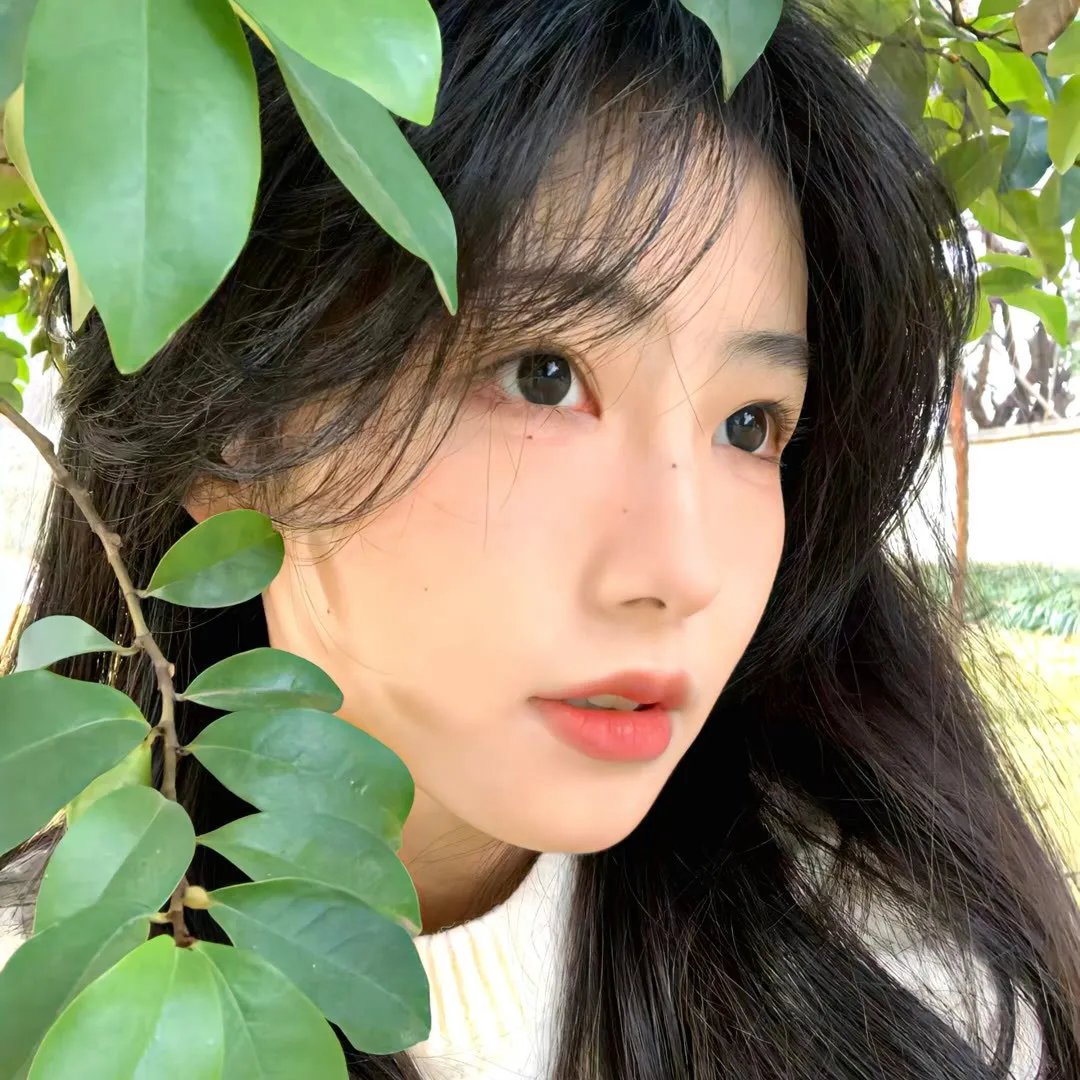 真情玫瑰